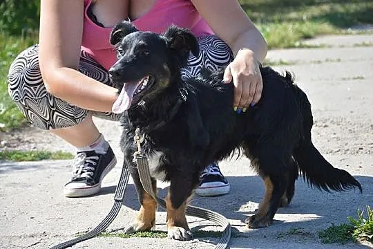 Czantor-jego rodzina się przeprowadziła-on został 