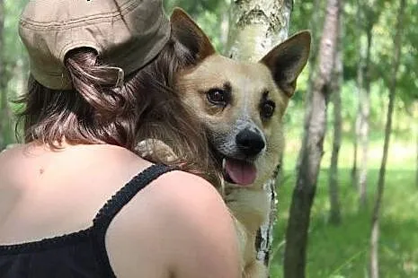 Inuk, bardzo łagodny, zrównoważony i grzeczny - ID