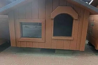 Slidne budy dla piesków