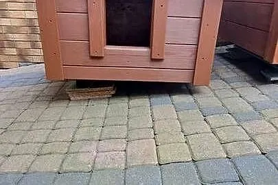 Slidne budy dla piesków, Warmińsko-mazurskie, Lubawa