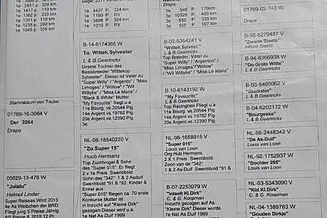 Samiec z rozpłodu drapa, Małopolskie, Wadowice