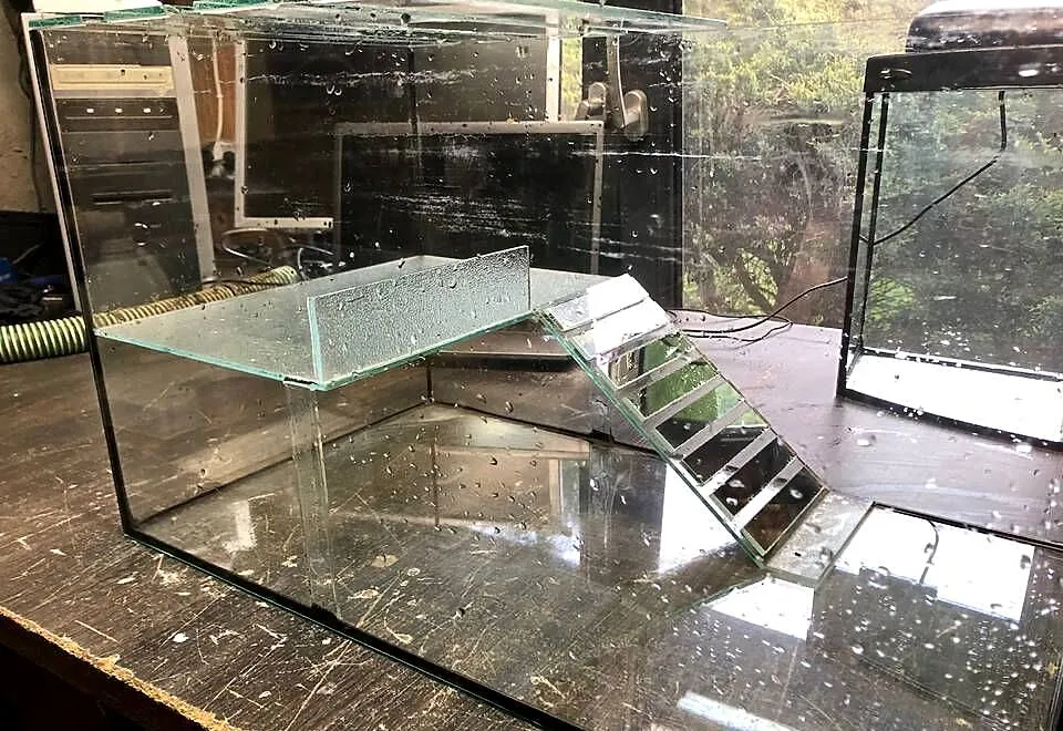 Akwarium terrarium 60 x 35 x 35, Łódzkie, Justynów