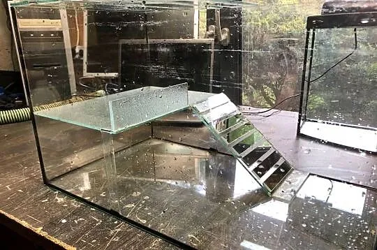 Akwarium terrarium 60 x 35 x 35, Łódzkie, Justynów
