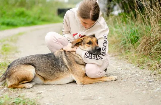 Bąbel - od szczeniaka niekochany...Łagodny psiak szuka domu!  Czemu zawiniły te smutne psie oczy...? Codziennie zadajemy sobie to pytanie. Bąbel - jeden z 6 rodzeństwa, odebrany interwencyjnie jako niespełna dwumiesięczny szczeniak. Już od pierwszych dni, , Warszawa