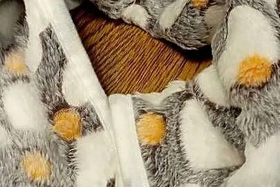 Kocyki wyprawka dla psiaczkow kociaczków, Pomorskie, Łeba