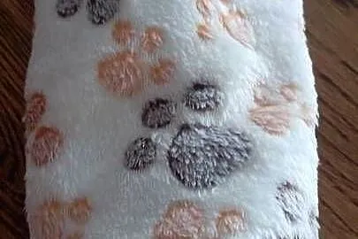 Kocyki wyprawka dla psiaczkow kociaczków, Pomorskie, Łeba