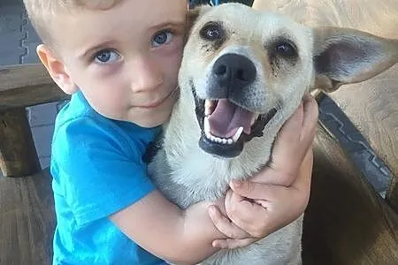 Jerry, nakolankowy psiak bardzo kocha ludzi i przy