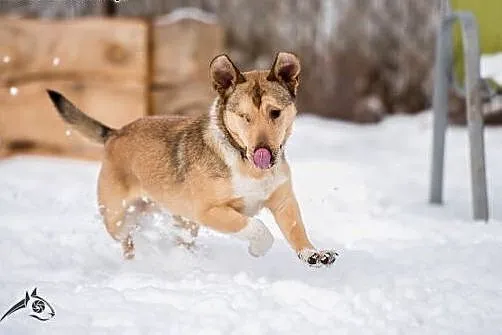Pokochaj go juz teraz on szuka swego przyjaciela, 