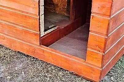Ocieplana buda dla psa, Kujawsko-pomorskie, Chalin