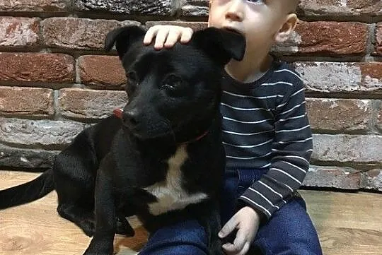 Maleńki Gumiś do adopcji