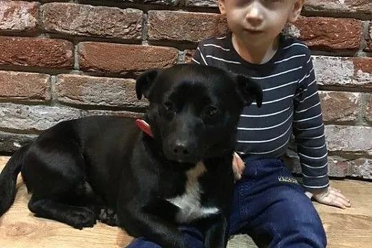 Maleńki Gumiś do adopcji