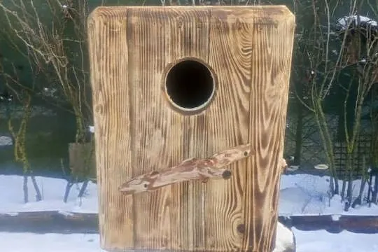 Budka lęgowa dla papug