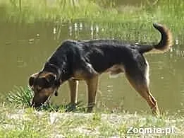 Metryczka czyli