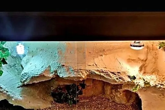 Terrarium pustynne dla gekona lamparciego agamy brodatej