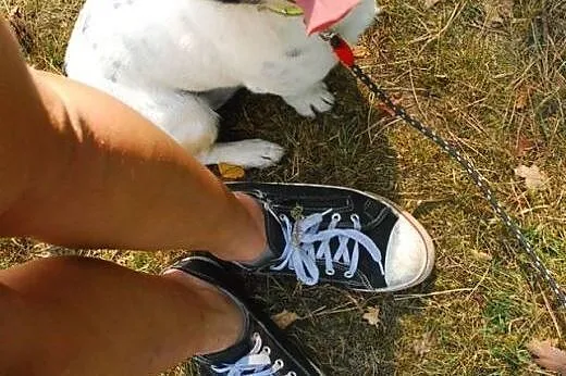 Malutki 25 cm Gutek czeka na dom w schronisku!,  mazowieckie Warszawa