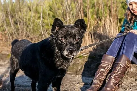KAROLEK – czy ktoś pokocha cudnego staruszka?
