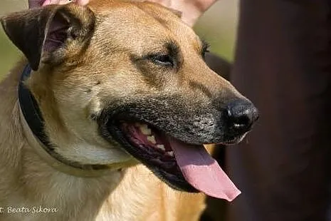 PLUTO AKTUALNE,  Kundelki cała Polska