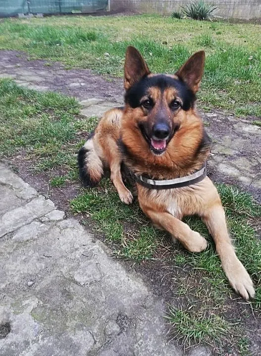MAKS czeka na Ciebie, razem będzie Wam jak w niebie :), Łódzkie, Łódź