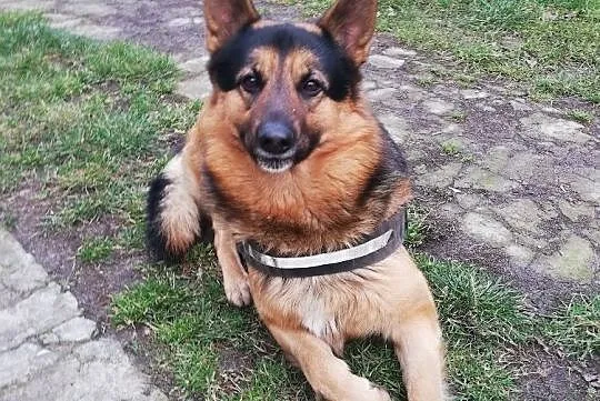 MAKS czeka na Ciebie, razem będzie Wam jak w niebie :), Łódzkie, Łódź