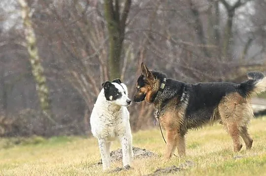 MAKS czeka na Ciebie, razem będzie Wam jak w niebie :), Łódzkie, Łódź