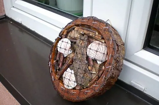 insekt,domek wiszący dla owadów., Mazowieckie, Siedlce