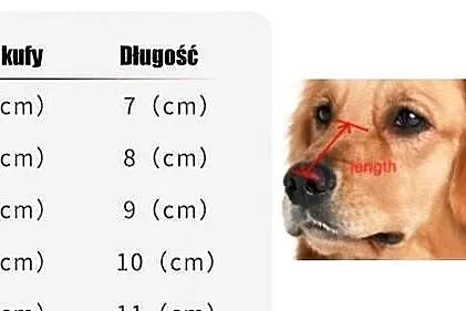 Kaganiec fizjologiczny dla psa gumowy XL, Wielkopolskie, Jastrowie