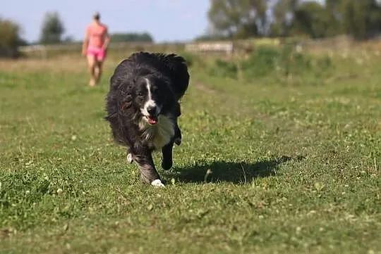 OBI- zamętu w serduchu Ci narobi!, Mazowieckie, Warszawa
