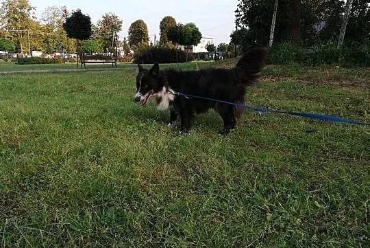 OBI- zamętu w serduchu Ci narobi!, Mazowieckie, Warszawa