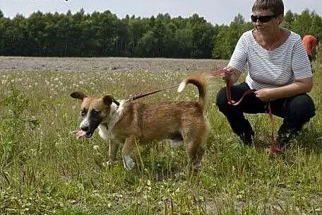 Sopelek nie widzi - ogląda przerażający świat  węc