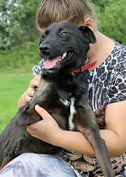 Żabka (azyl u Majki)