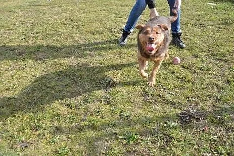 Proszę zabierz mnie do domu...,  wielkopolskie Poz