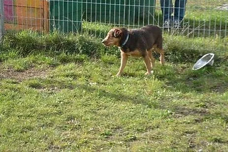 Proszę zabierz mnie do domu...,  wielkopolskie Poz