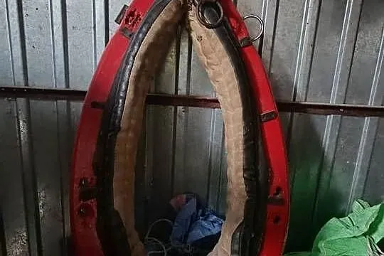 Sprzedam homonto na lekkiego konia, Małopolskie, Wola Radłowska