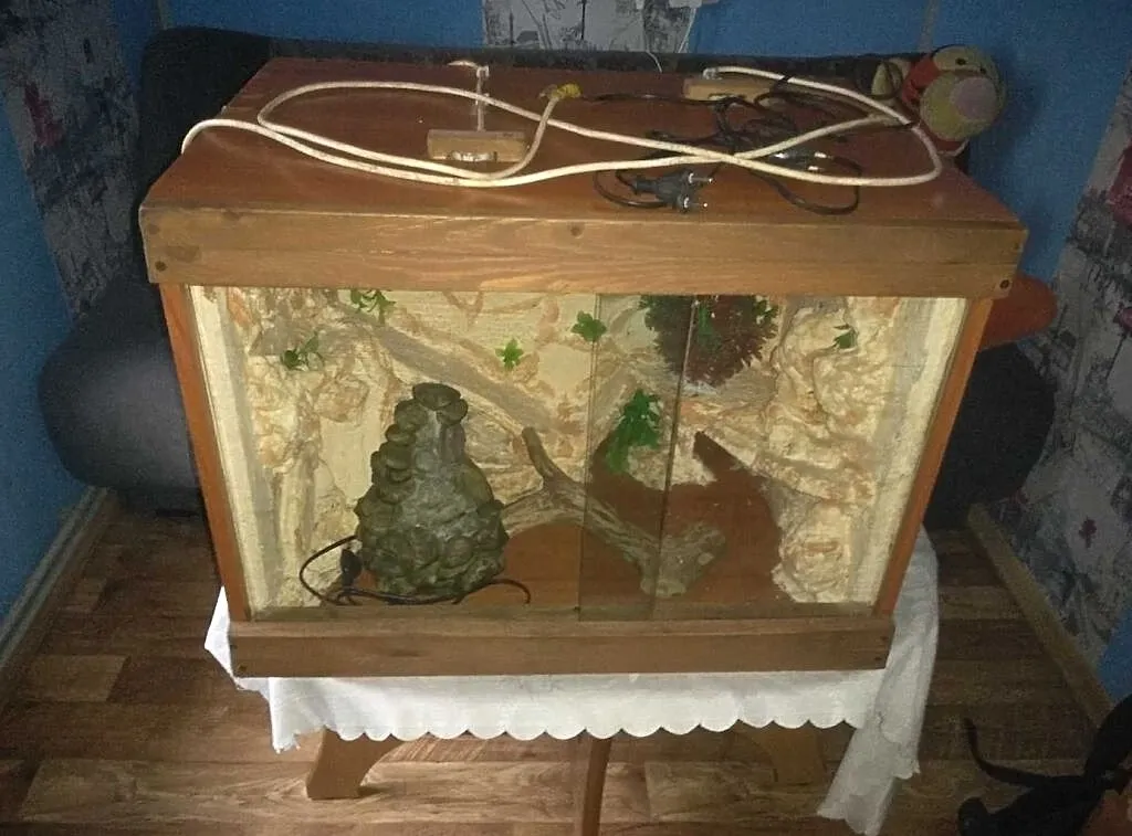 Sprzedam terrarium, , Żary