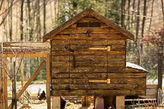 Kurnik dal 6-12 Kur Kaczek XL deska sosna jodła Ocieplony!, Małopolskie, Zagórnik