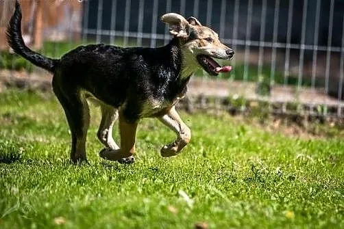 Kto ma tyle wdzięku, co ja, no..pokochaj mnie,  ma