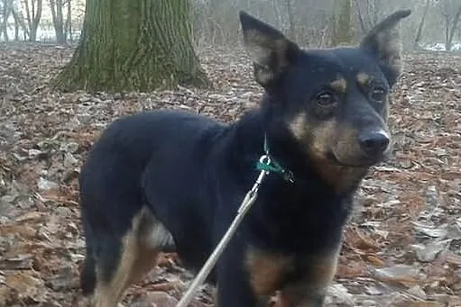 Historia pewnej niezwykłej przyjaźni. Przeczytaj i