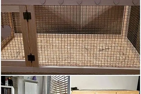 Klatka i Kuwetopaśnik dla króliczka, Wielkopolskie, Poznań