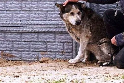 DUNAR pokaż Człowieku czym jest miłość,  wielkopol