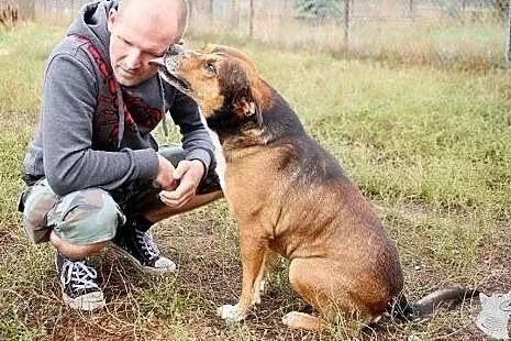 Niesamowicie pozytywny, kochający ludzi BOLO czeka