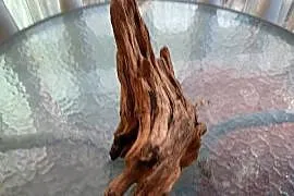 Korzeń do terrarium xl