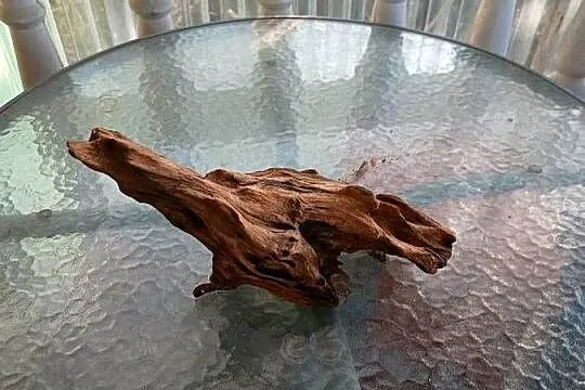 Korzeń do terrarium xl, Lubelskie, Rejowiec Fabryczny