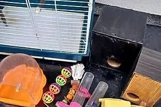 Klatka dla ptaków, Mazowieckie, Bobrek-Kolonia