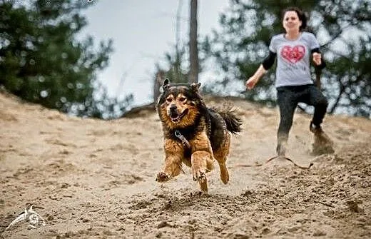 BROOKLYN - piękna, siła, inteligencja - 40 kg wspa