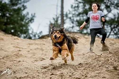 BROOKLYN - piękna, siła, inteligencja - 40 kg wspa