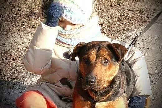 Łagodny Misiek z osiedla szuka domu!