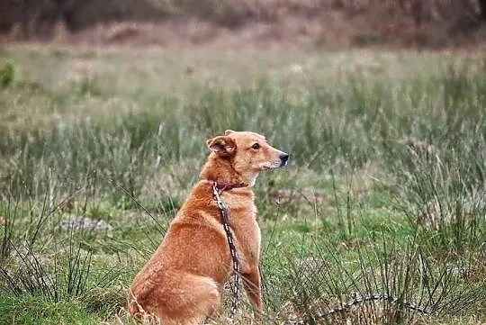GABRYSIA , boję się....
