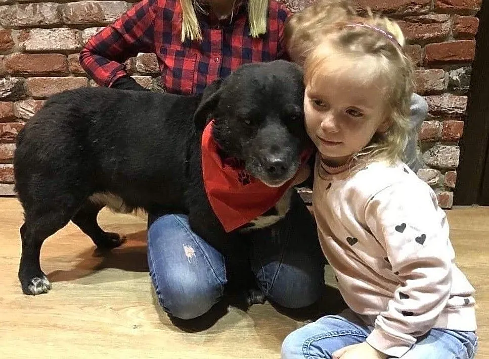 Wesoły Majki do adopcji, Mazowieckie, Warszawa
