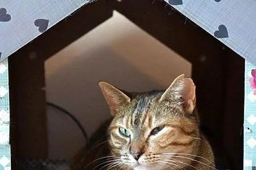 Opiekuńcza i przyjacielska MUMMY poleca się!,  maz