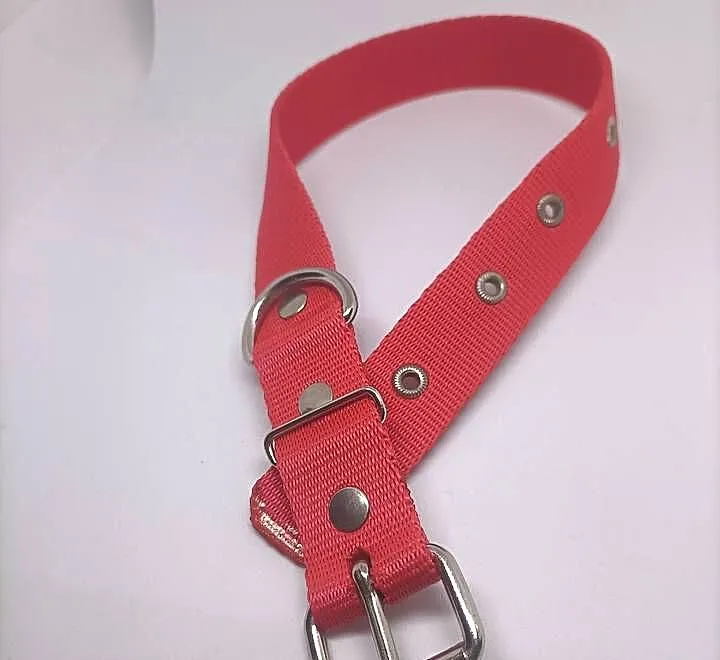Obroża dla psa 25mm/70cm, Lubuskie, Gorzów Wielkopolski